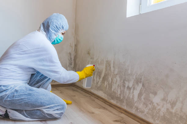 Mold Remediation specialist working in Ashton